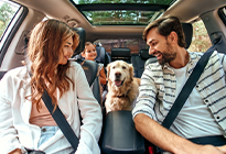 Family with dog inside car
