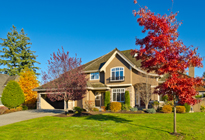 nEW_HOME22222