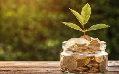 Introducing My MAPFRE Rewards – A New Way to Save More Every Day