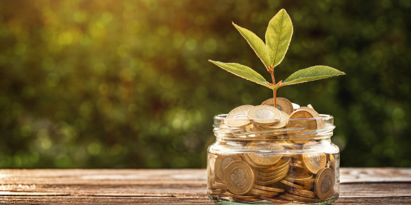 Introducing My MAPFRE Rewards – A New Way to Save More Every Day
