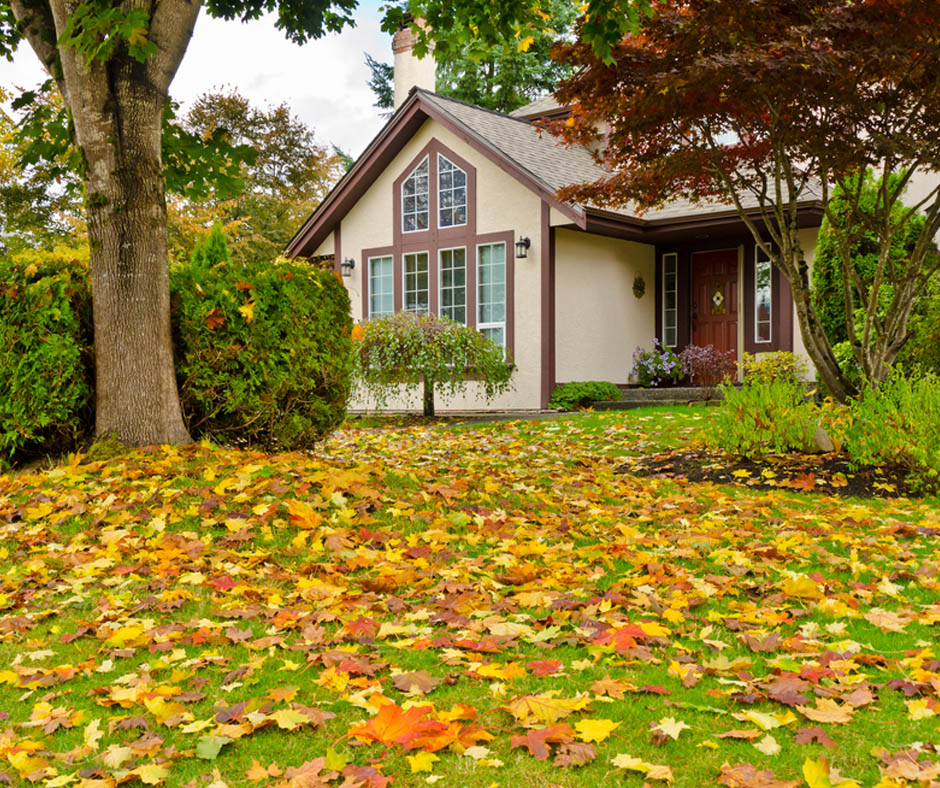 home-box-gallanins-fall home-box-gallanins-fall