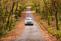 A white car driving along a leaf-covered forest road in autumn. A white car driving along a leaf-covered forest road in autumn.